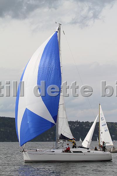 Bundefjorden2012 296.jpg